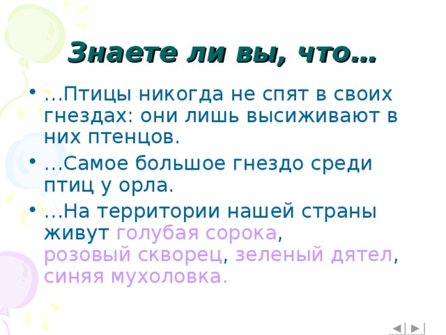 Знаете ли вы, что…