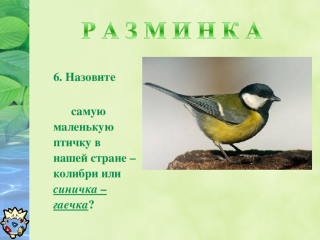 16. Назовите  самую маленькую птичку в нашей стране – колибри или синичка – гаечка ?