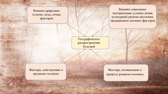 Влияние социальных (материальные условия жизни, культурный уровень населения, традиционное питание) факторов Влияние природных (климат, вода, почва) факторов Географическое распространение болезней Факторы, действующие в организме человека Факторы, возникающие в процессе развития человека