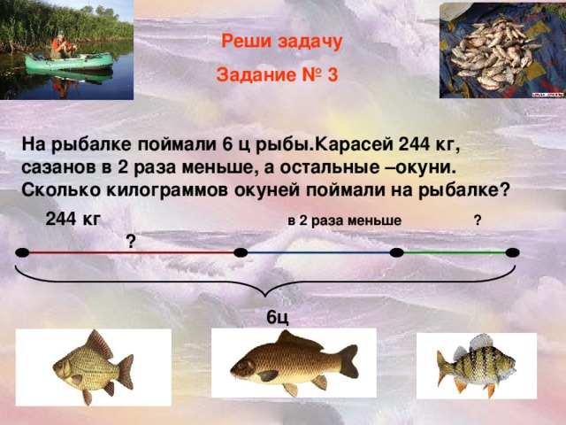 Реши задачу  Задание № 3  На рыбалке поймали 6 ц рыбы .Карасей 244 кг, сазанов в 2 раза меньше, а остальные –окуни. Сколько килограммов окуней поймали на рыбалке?  244 кг  в 2 раза меньше ? ?   6ц