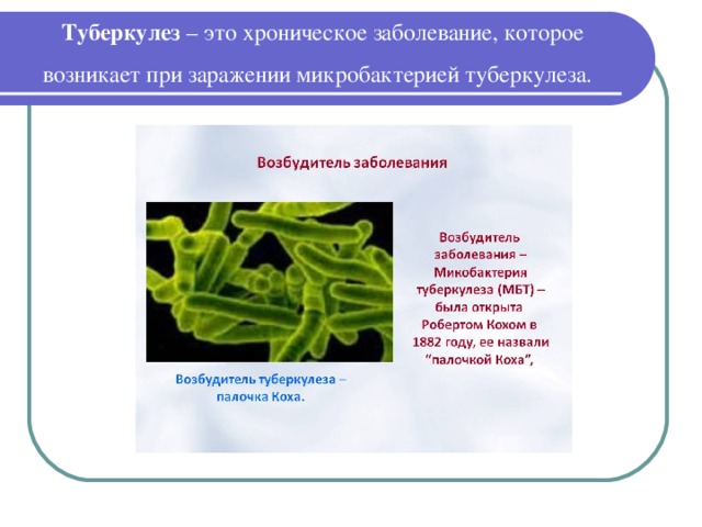 Туберкулез  – это хроническое заболевание, которое возникает при заражении микробактерией туберкулеза.  