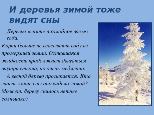 И деревья зимой тоже видят сны  Деревья «спят» в холодное время года. Корни больше не всасывают воду из промерзшей земли. Оставшаяся жидкость продолжает двигаться внутри ствола, но очень медленно.  А весной дерево просыпается. Кто знает, какие сны оно видело зимой? Может, дереву снилось летнее солнышко?