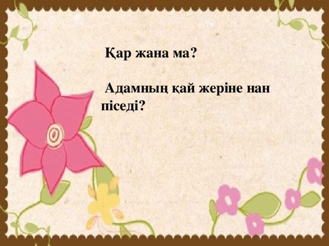 Қар жана ма?   Адамның қай жеріне нан піседі?