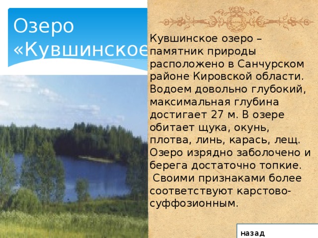 Озеро «Кувшинское» Кувшинское озеро – памятник природы расположено в Санчурском районе Кировской области. Водоем довольно глубокий, максимальная глубина достигает 27 м. В озере обитает щука, окунь, плотва, линь, карась, лещ. Озеро изрядно заболочено и берега достаточно топкие.  Своими признаками более соответствуют карстово-суффозионным. назад