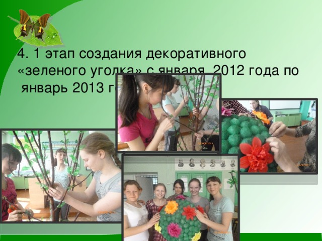 4. 1 этап создания декоративного «зеленого уголка» с января 2012 года по январь 2013 год.