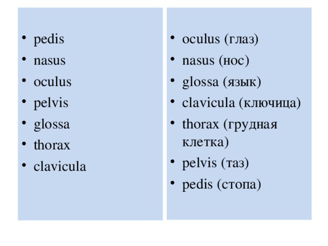 pedis nasus oculus pelvis glossa thorax clavicula  oculus ( глаз) nasus (нос) glossa (язык) clavicula (ключица) thorax (грудная клетка) pelvis (таз) pedis (стопа)