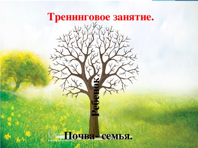 Ребенок Тренинговое занятие. Почва- семья.