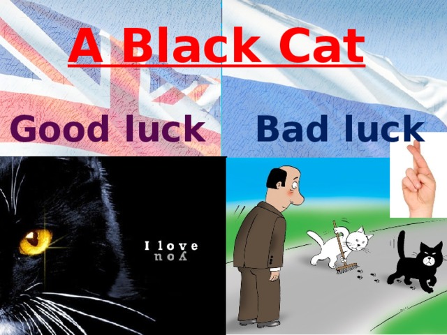 A Black Cat Good luck Bad luck