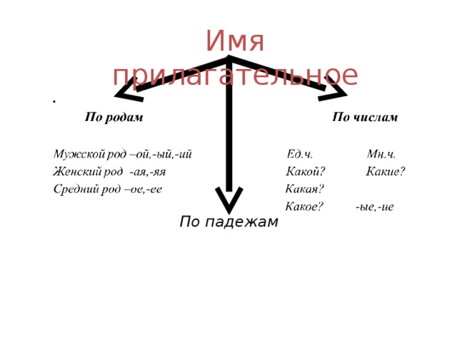 Имя прилагательное По падежам