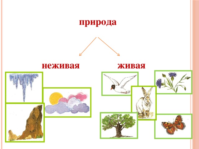 Знакомство С Неживой Природой В Старшей Группе