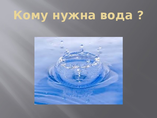 Для чего нужна вода