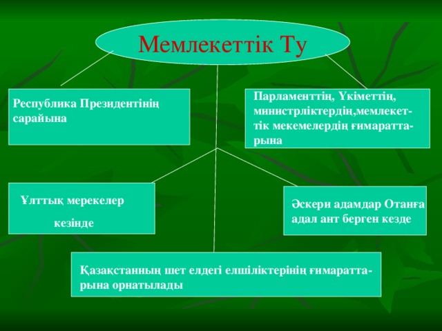 Мемлекеттік Ту Парламенттің, Үкіметтің, министрліктердің,мемлекет-тік мекемелердің ғимаратта-рына  Республика Президентінің  сарайына Ұлттық мерекелер  кезінде Әскери адамдар Отанға адал ант берген кезде Қазақстанның шет елдегі елшіліктерінің ғимаратта- рына орнатылады