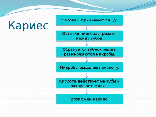 Кариес Человек принимает пищу. Остатки пищи застревают между зубов. Образуется зубной налет, размножаются микробы. Микробы выделяют кислоту. Кислота действует на зубы и разрушает эмаль. Возможен кариес.