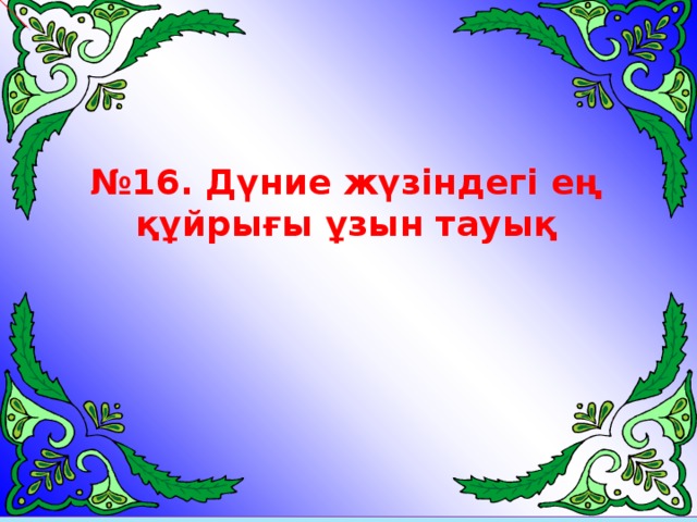 № 16. Дүние жүзіндегі ең құйрығы ұзын тауық