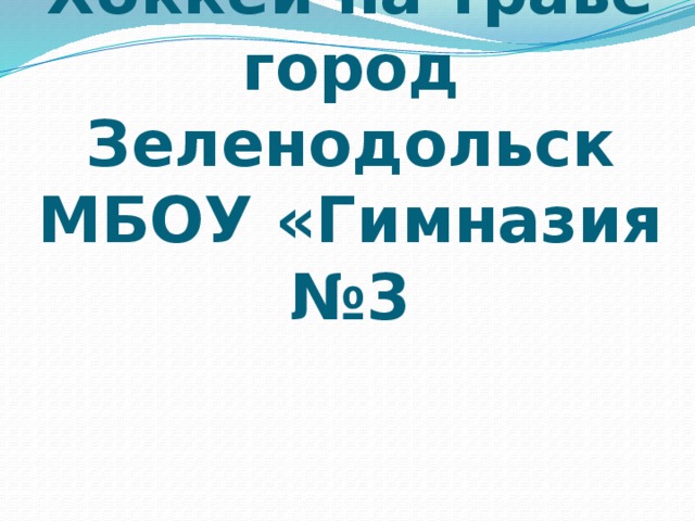 Хоккей на траве  город Зеленодольск  МБОУ «Гимназия №3