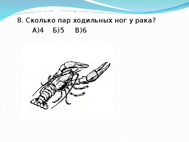 8. Сколько пар ходильных ног у рака?  А)4 Б)5 В)6