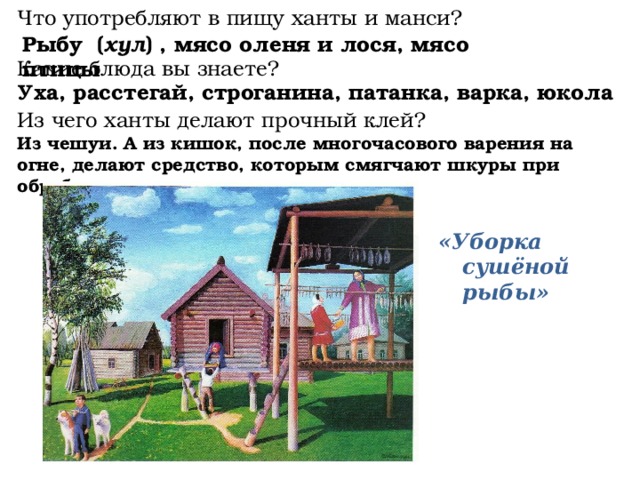 Что употребляют в пищу ханты и манси? Какие блюда вы знаете? Из чего ханты делают прочный клей? Из чешуи. А из кишок, после многочасового варения на огне, делают средство, которым смягчают шкуры при обработки. Рыбу ( хул ) , мясо оленя и лося, мясо птицы Уха, расстегай, строганина, патанка, варка, юкола «Уборка сушёной рыбы»