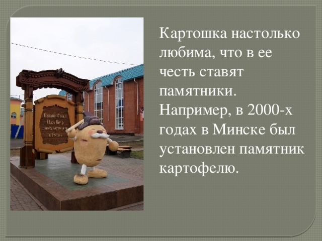 Картошка настолько любима, что в ее честь ставят памятники. Например, в 2000-х годах в Минске был установлен памятник картофелю.