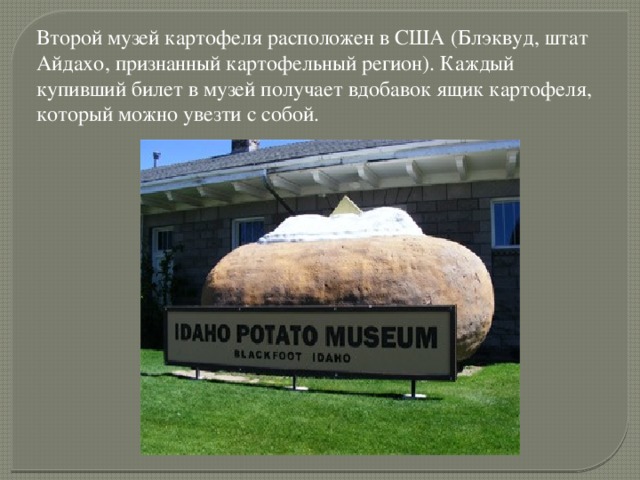 Второй музей картофеля расположен в США (Блэквуд, штат Айдахо, признанный картофельный регион). Каждый купивший билет в музей получает вдобавок ящик картофеля, который можно увезти с собой.