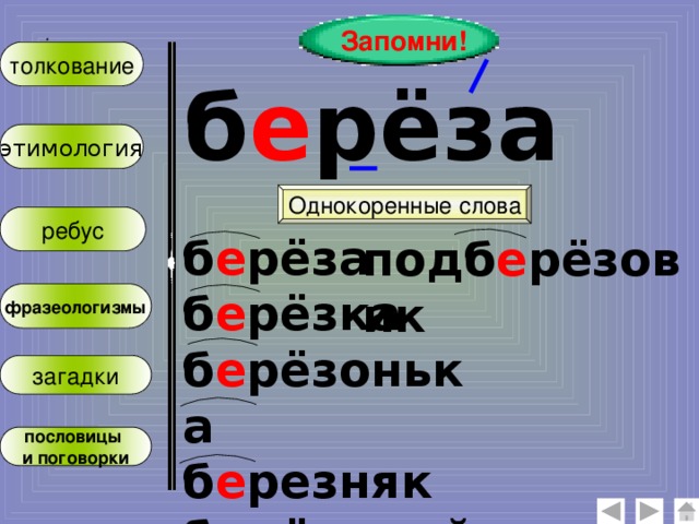 Запомни! : толкование б е рёза этимология Однокоренные слова ребус б е рёза б е рёзка б е рёзонька б е резняк б е рёзовый  подб е рёзовик фразеологизмы загадки пословицы и поговорки