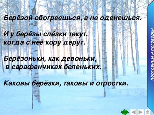 пословицы и поговорки Берёзой обогреешься, а не оденешься.  И у берёзы слёзки текут, когда с неё кору дерут.  Берёзоньки, как девоньки,  в сарафанчиках беленьких.  Каковы берёзки, таковы и отростки.