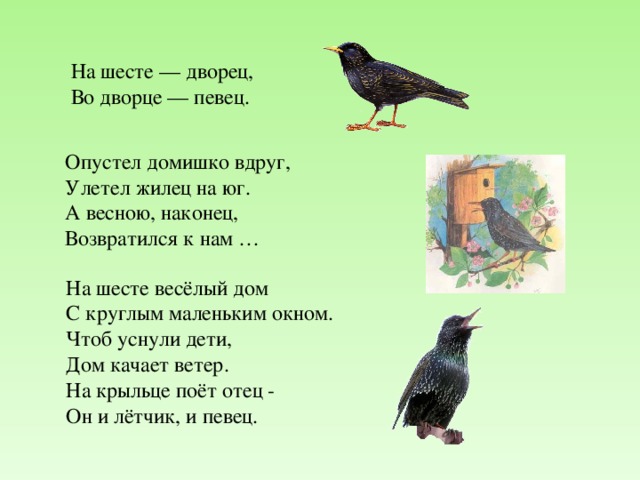 На шесте — дворец,  Во дворце — певец.  Опустел домишко вдруг,  Улетел жилец на юг.  А весною, наконец,  Возвратился к нам … На шесте весёлый дом  С круглым маленьким окном.  Чтоб уснули дети,  Дом качает ветер.  На крыльце поёт отец -  Он и лётчик, и певец. На загадки настроены триггеры. 25