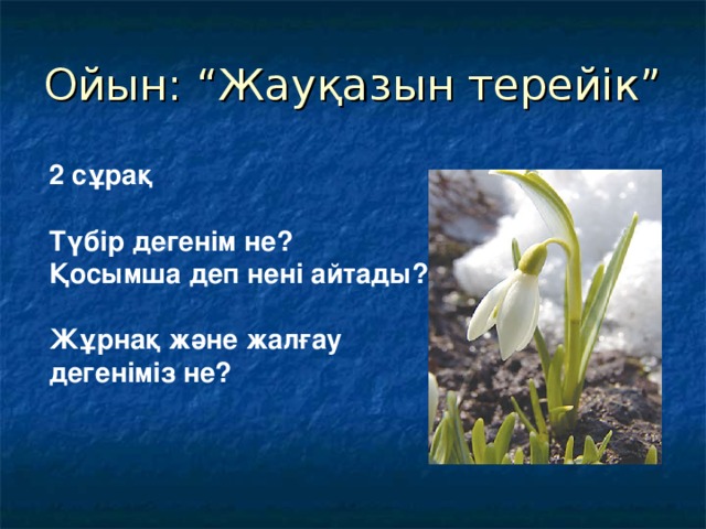 Ойын: “Жауқазын терейік” 2 сұрақ  Түбір дегенім не? Қосымша деп нені айтады?  Жұрнақ және жалғау дегеніміз не?