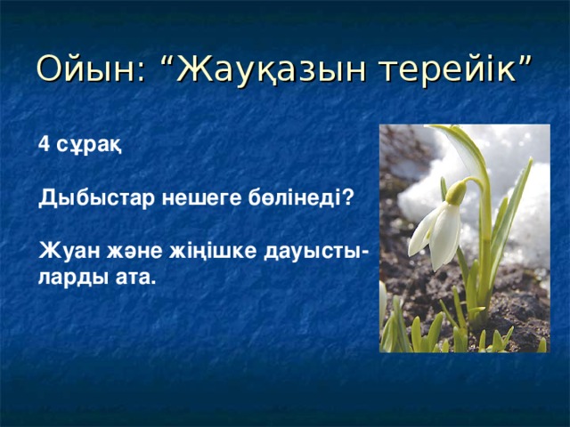 Ойын: “Жауқазын терейік” 4 сұрақ  Дыбыстар нешеге бөлінеді?  Жуан және жіңішке дауысты- ларды ата.