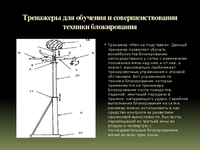 Современные тренажеры презентация