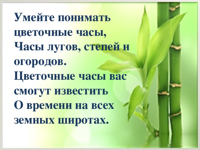 Умейте понимать цветочные часы, Часы лугов, степей и огородов. Цветочные часы вас смогут известить О времени на всех земных широтах.