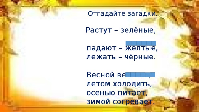 Весной веселит зимой холодит осенью питает. Загадка растет зеленеет. Растут зеленеют упадут пожелтеют. Зелёный повисший загадка. Осенью он желтый а летом зеленый загадка.