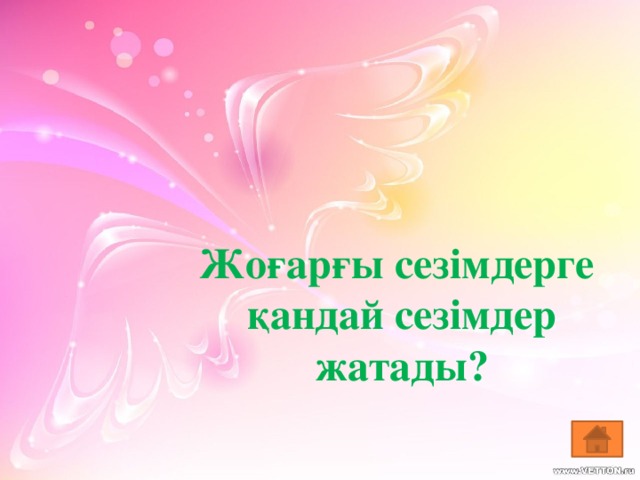 Жоғарғы сезімдерге қандай сезімдер жатады?