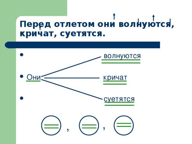 Перед отлетом они волнуются, кричат, суетятся.  волнуются  Они кричат   суетятся , ,