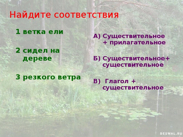 Найдите соответствия 1 ветка ели  2 сидел на дереве  3 резкого ветра    А) Существительное + прилагательное  Б) Существительное+ существительное  В) Глагол + существительное