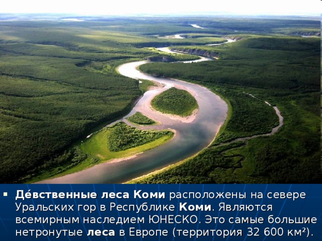 Де́вственные  леса  Коми расположены на севере Уральских гор в Республике Коми . Являются всемирным наследием ЮНЕСКО. Это самые большие нетронутые леса в Европе (территория 32 600 км²).