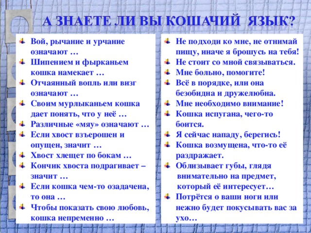 Вой, рычание и урчание означают … Шипением и фырканьем кошка намекает … Отчаянный вопль или визг означают … Своим мурлыканьем кошка дает понять, что у неё … Различные «мяу» означают … Если хвост взъерошен и опущен, значит … Хвост хлещет по бокам … Кончик хвоста подрагивает – значит … Если кошка чем-то озадачена, то она … Чтобы показать свою любовь, кошка непременно … Не подходи ко мне, не отнимай пищу, иначе я брошусь на тебя! Не стоит со мной связываться. Мне больно, помогите! Всё в порядке, или она безобидна и дружелюбна. Мне необходимо внимание! Кошка испугана, чего-то боится. Я сейчас нападу, берегись! Кошка возмущена, что-то её раздражает. Облизывает губы, глядя  внимательно на предмет,  который её интересует… Потрётся о ваши ноги или нежно будет покусывать вас за ухо…