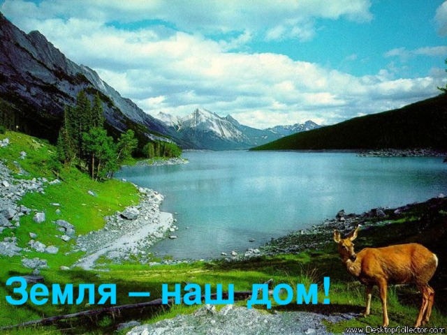 Земля – наш дом!