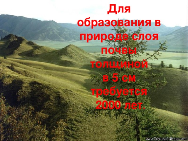 Для образования в природе слоя почвы толщиной  в 5 см требуется  2000 лет .