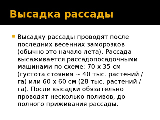 Высадка рассады