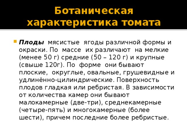 Ботаническая характеристика томата Плоды    мясистые  ягоды различной формы и окраски. По  массе  их различают  на мелкие (менее 50 г) средние (50 – 120 г) и крупные  (свыше 120г). По  форме  они бывают  плоские,  округлые, овальные, грушевидные и удлинённо-цилиндрические. Поверхность   пло­дов гладкая или ребристая. В зависимости от количества камер они бывают   малокамерные (две-три), среднекамерные (четыре-пять) и многокамерные (более шести), причем по­следние более ребристые.   