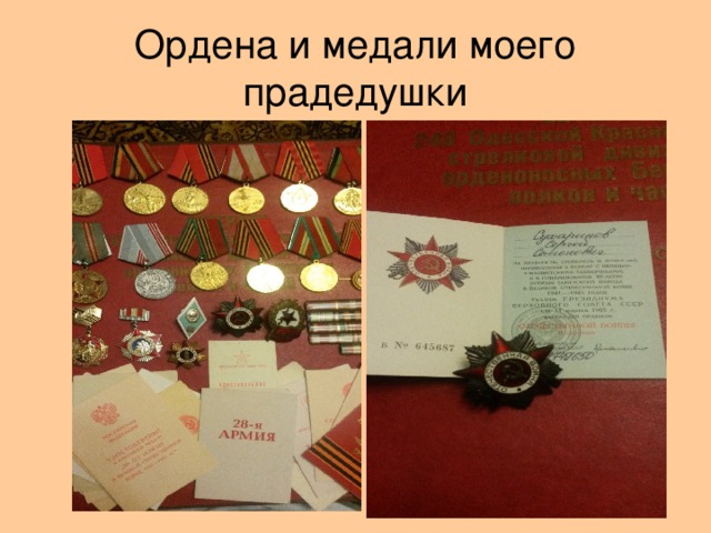 Ордена и медали моего прадедушки