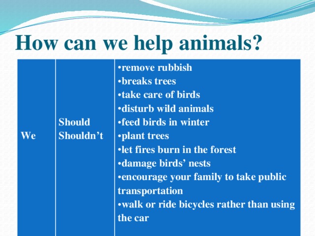 How can we help animals?      remove rubbish breaks trees take care of birds disturb wild animals feed birds in winter plant trees let fires burn in the forest damage birds’ nests encourage your family to take public transportation walk or ride bicycles rather than using the car      We Should Shouldn’t