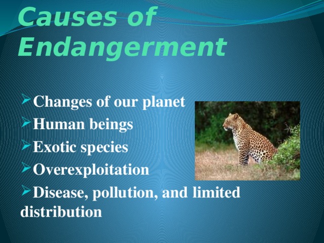 Causes of Endangerment