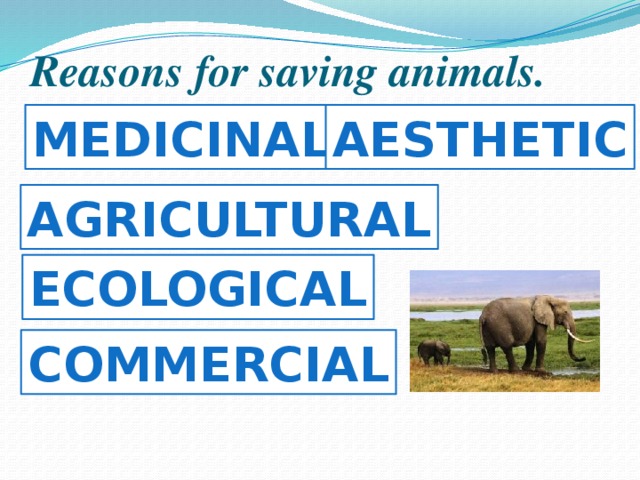 Reasons for saving animals. Medicinal aesthetic agricultural ecological commercial