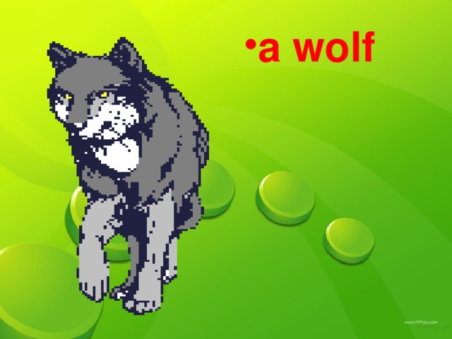 а wolf а wolf а wolf а wolf а wolf а wolf а wolf а wolf а wolf а wolf