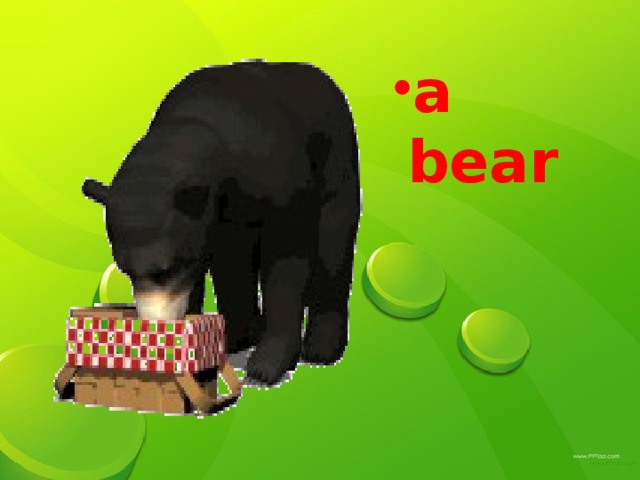 а bear а bear а bear а bear