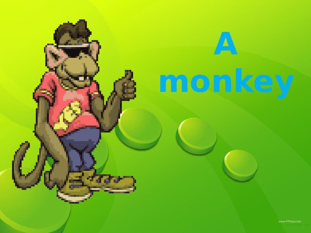 A monkey A monkey