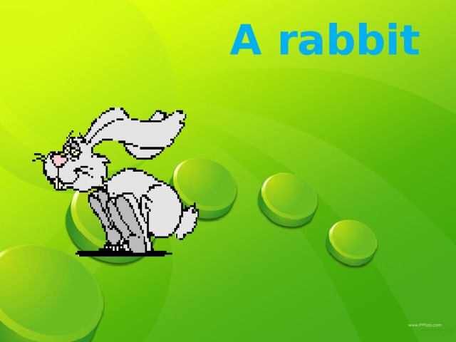 A rabbit A rabbit