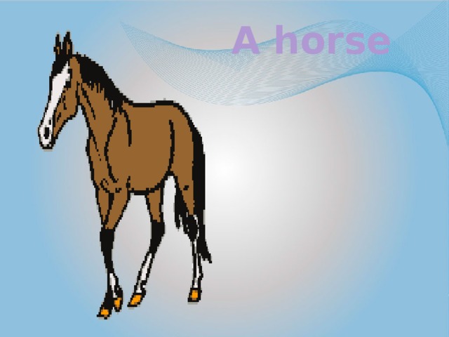 A horse A horse
