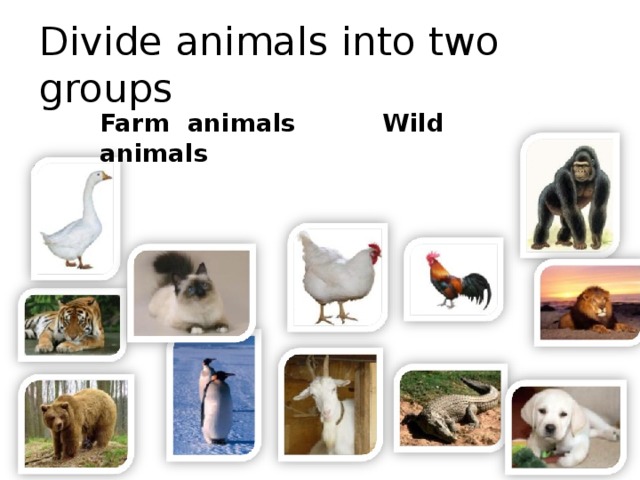 Divide animals into two groups Farm animals Wild animals